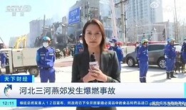 惠阳记者爆料案件视频最新,案件视频揭露惊人内幕！