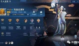 王者皮肤爆料最新上官婉儿评测,翩翩舞者，墨色倾城