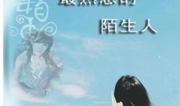 熟悉的陌生人在线观看,网络世界的神秘邂逅